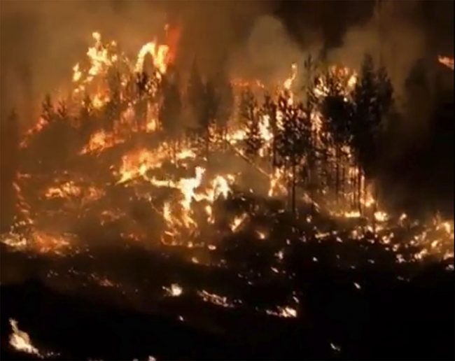 Wildfires Siberia