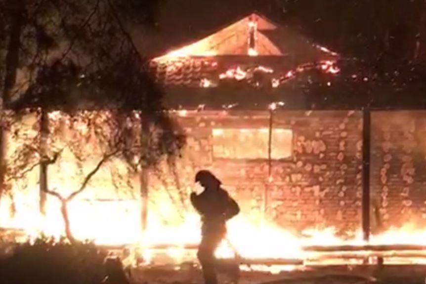 honbtarjeva_ego_haza