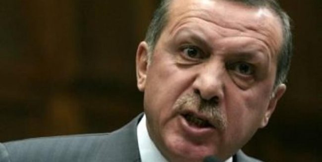 erdogan_merges