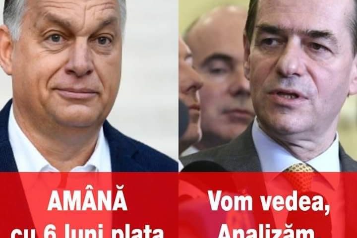 orban_orban