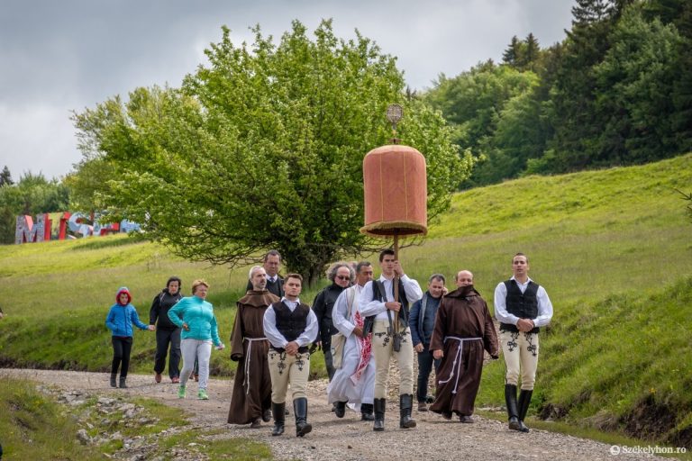 punkosdibucsu-zarandokok-nelkul