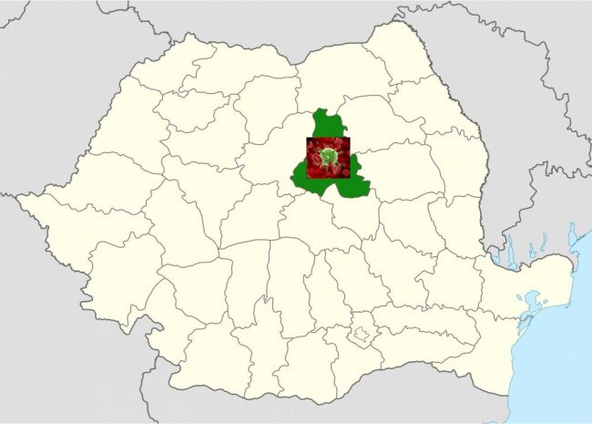 hargita_korona