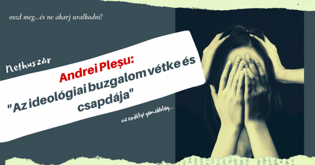 plesu_boritkokep