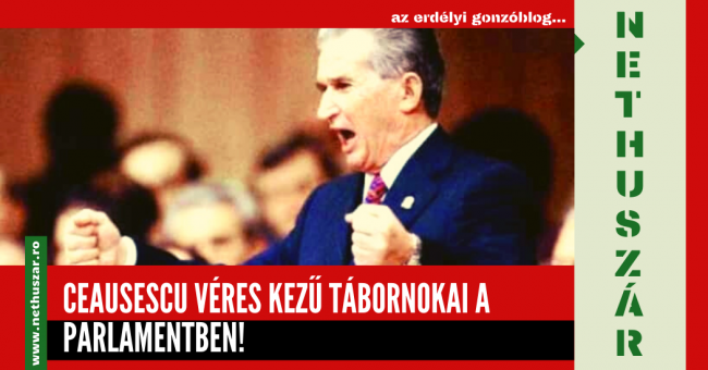 Nethuszár (17)