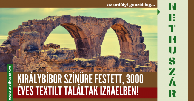 29_bibor_lelet