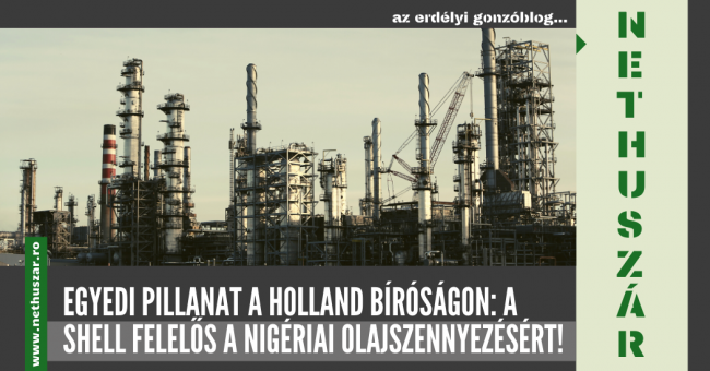 29_holland_birosag