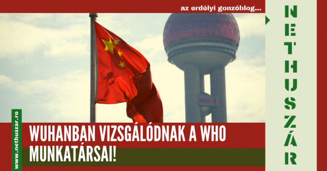 29_wuhanban_a_WHO