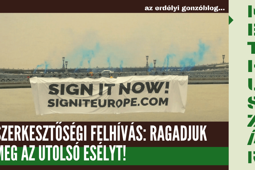 felhivas_utolso_esely