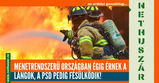 menetrendszeru_psd