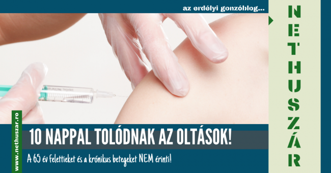 oltas_tolodas