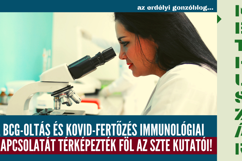 02_11_covid_szeeged_bcg