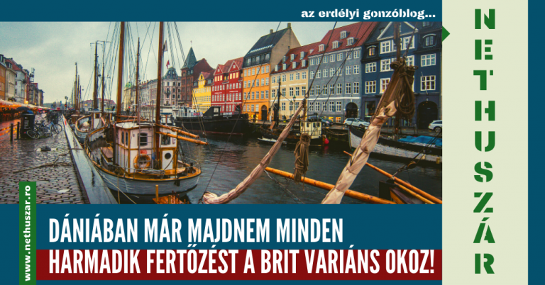 14.02_dania_britmutans