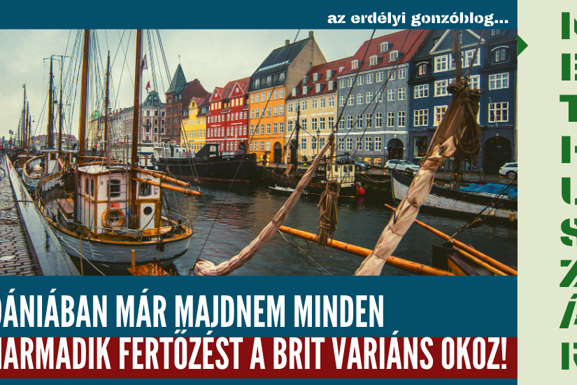 14.02_dania_britmutans