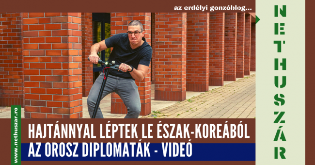 Nethuszár (17)