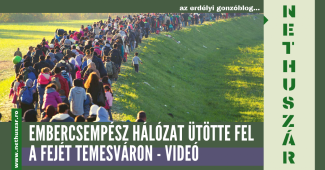 emercsempesz_temesvar