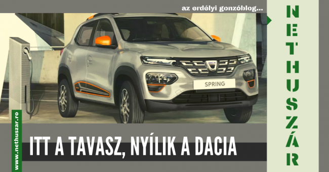 dacia_borito