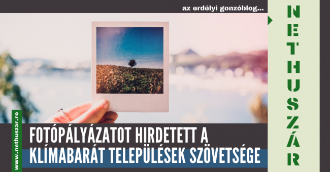 Nethuszár (13)