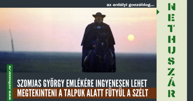Nethuszár (14)