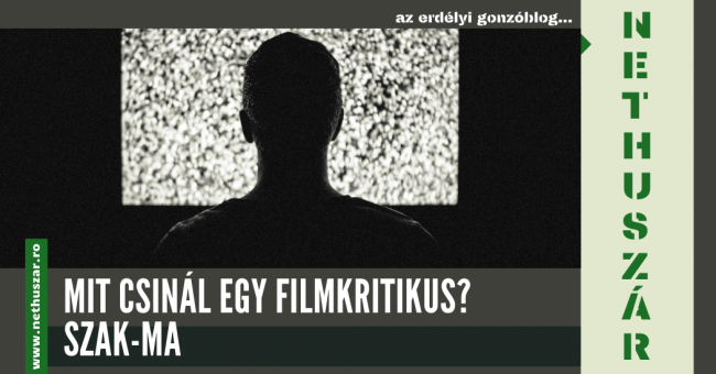 szak-filmkritikus