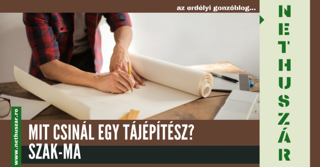 szak-tahepitesz