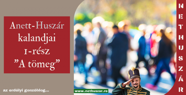 Anetthuszár cikk