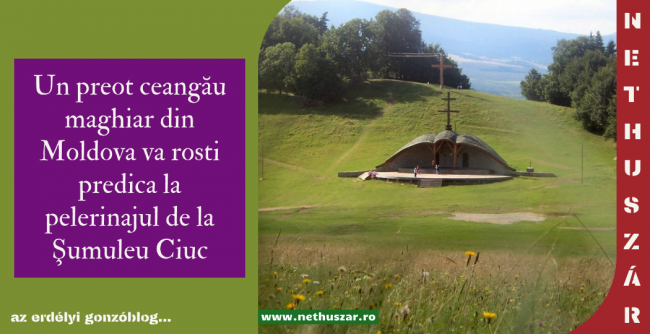 NETHUSZÁR (1)
