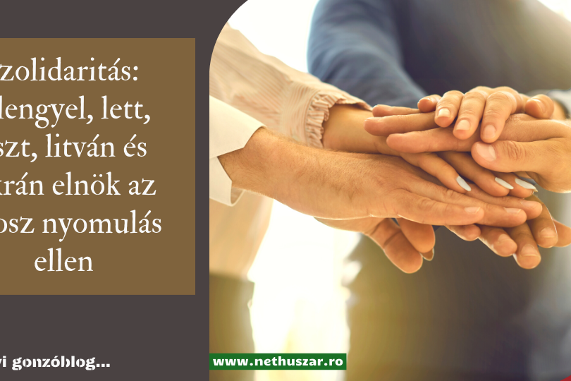 szolidarit