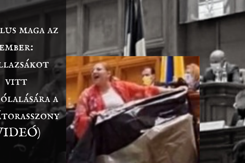 sosoaca_hullazsak_borito