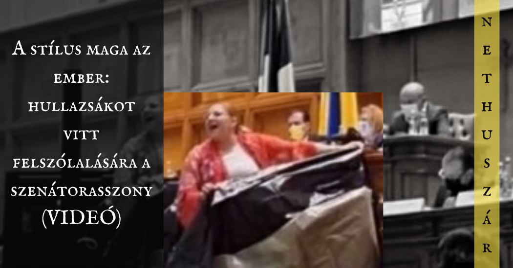 sosoaca_hullazsak_borito