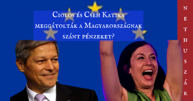 ciolos_katika_borito