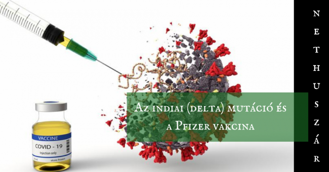 deltamutans_pfizer