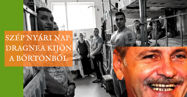 dragnea_kijon_borton