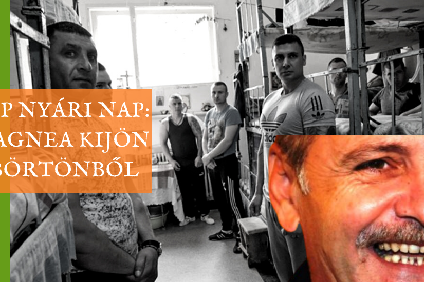 dragnea_kijon_borton