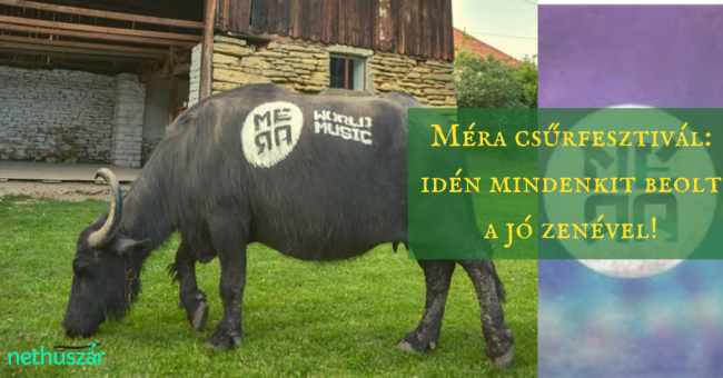 mera_borito
