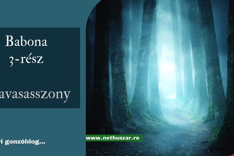 A javasasszony 3 rész borító