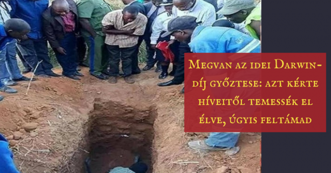 darwin_dij