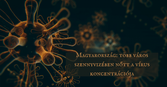 szenyviz_virkonc