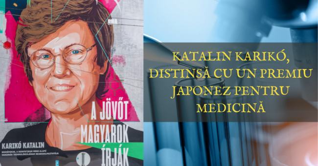 katkarinko_dij