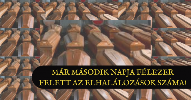 Már második napja félezer felett az elhalálozások száma!