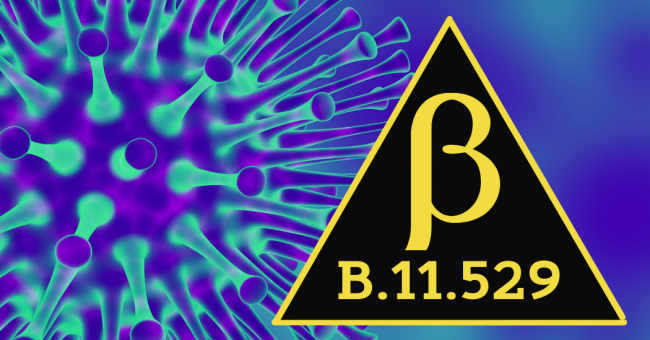 B.11.529