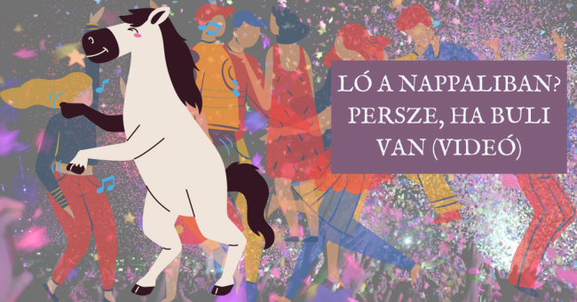 Ló a nappaliban Persze, ha buli van (VIDEÓ)
