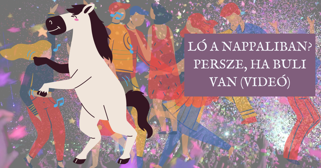Ló a nappaliban Persze, ha buli van (VIDEÓ)