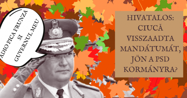 adio pica frunza si guvernul meu