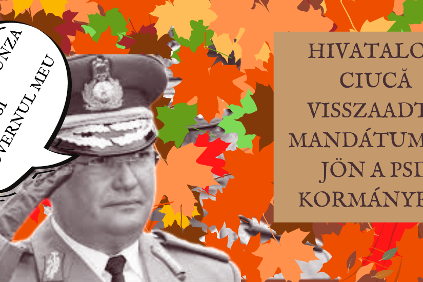 adio pica frunza si guvernul meu