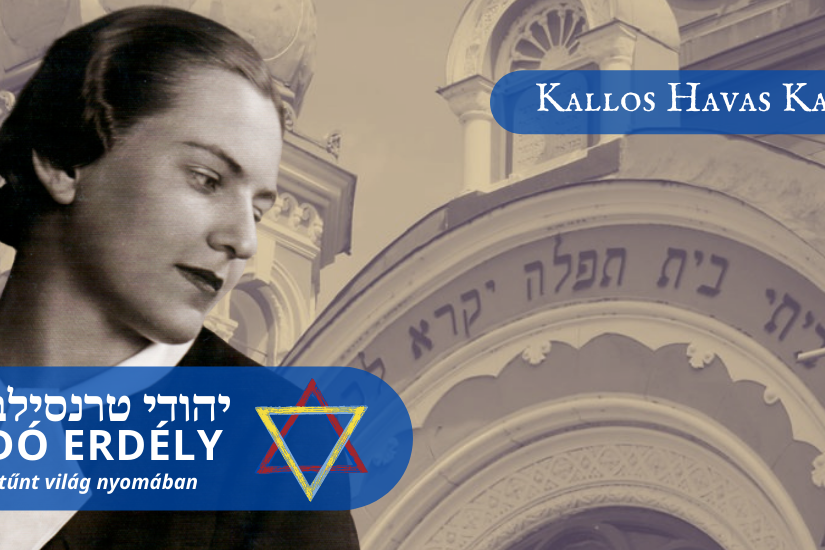 kallos_havas_katalin_boritokep