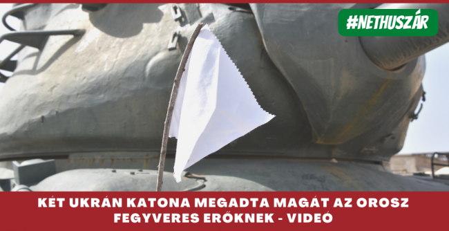 megadás