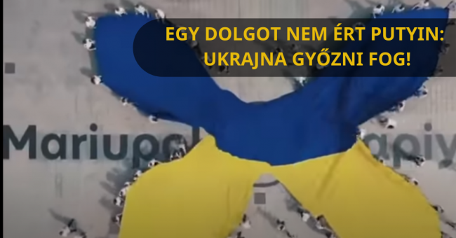 buzdito_video_uikrajna