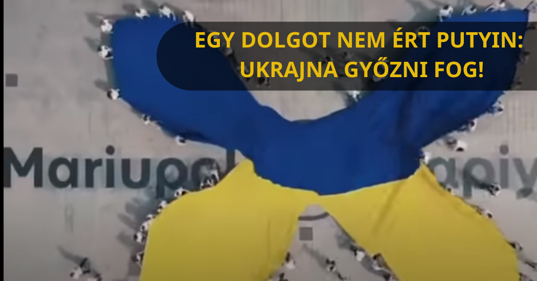 buzdito_video_uikrajna