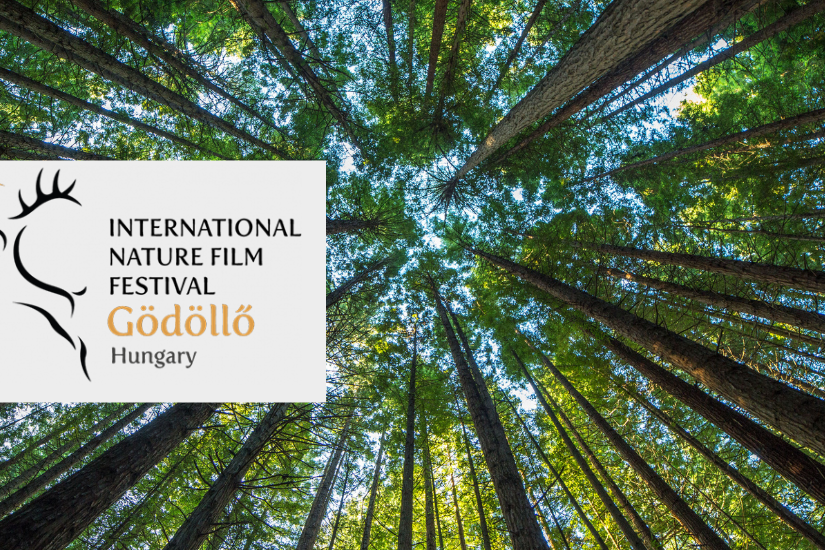 int_film_nature_fest