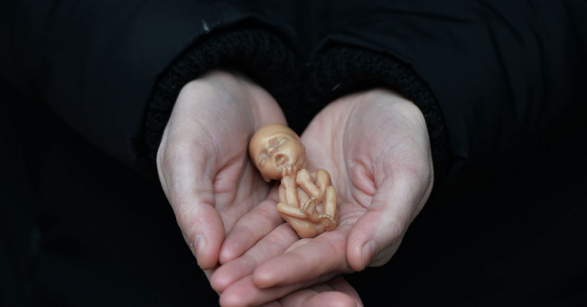 abortusz_bortito